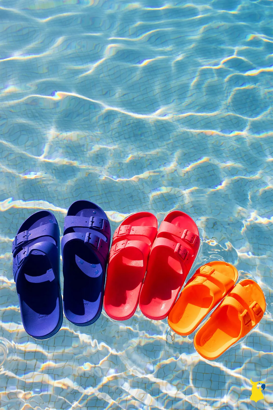 CACATOES Sandals - Belo Horizonte Craie (Babies Size)