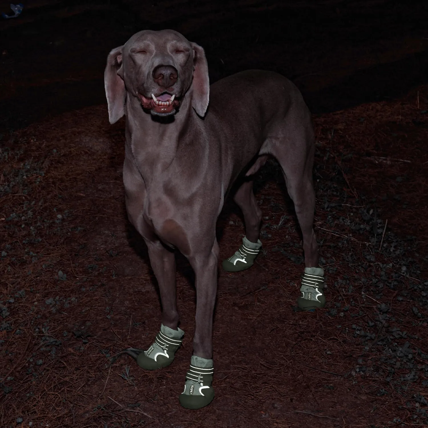 Dog Shoes, Waterproof Dog Booties Paw Protector for Hot Pavement, Snowy Day, Outdoor Walking Skip-Proof Dog Shoes Green 2.8in L