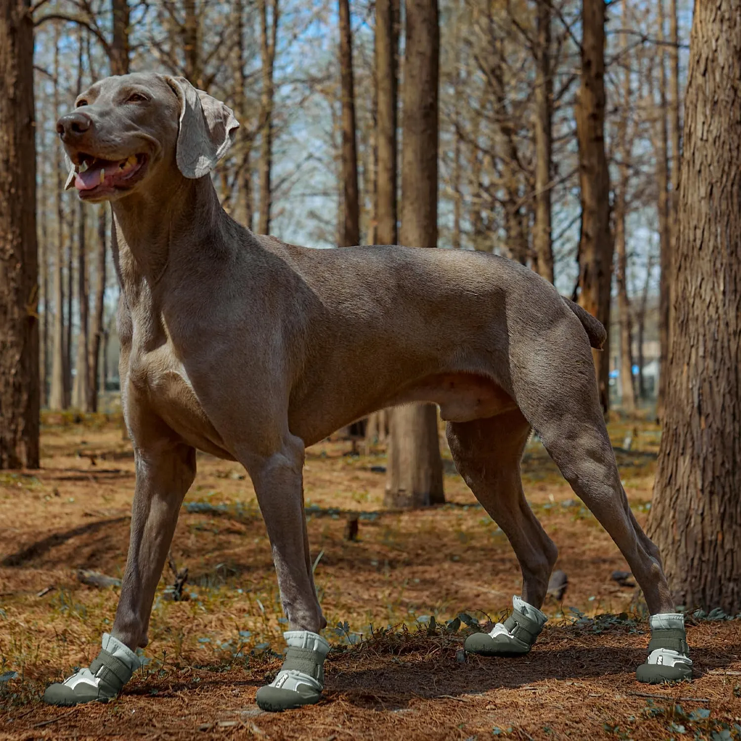 Dog Shoes, Waterproof Dog Booties Paw Protector for Hot Pavement, Snowy Day, Outdoor Walking Skip-Proof Dog Shoes Green 2.8in L