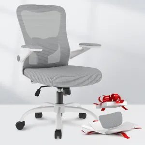 FLEXISPOT Ergonomic Office Chairs Mesh Computer Desk Chair with 4D Flip-up Armrests 2D Lumbar Support Comfy High Back Rolling Task Chair with Swivel Wheels, Grey-1