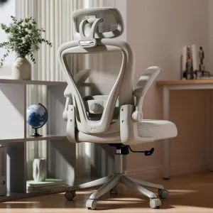 Grey Ergonomic Office Chair M903, High Back Comfy Mesh Desk Chair with Wheels, Adjustable Lumbar Support, Headrest