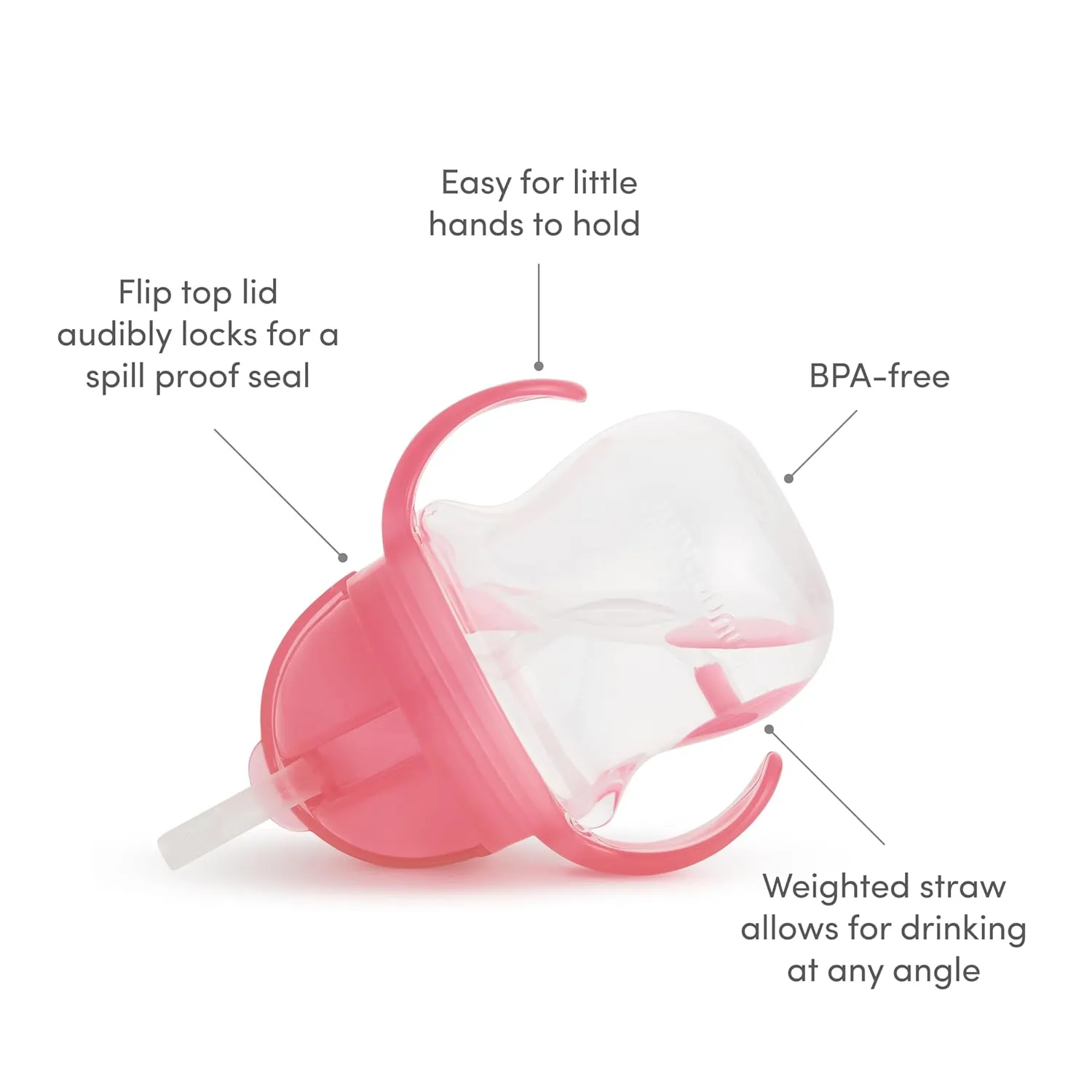 Munchkin Any Angle Sippy Cups for Toddlers, Spill Proof Weighted Straw Cup with Transition Handles for Babies 6 Months and Up, 7 Ounce, 2 Pack, Pink/Purple