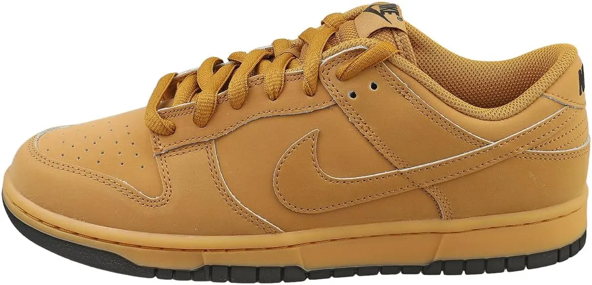 Nike Men's Dunk Low Retro Se Sneaker