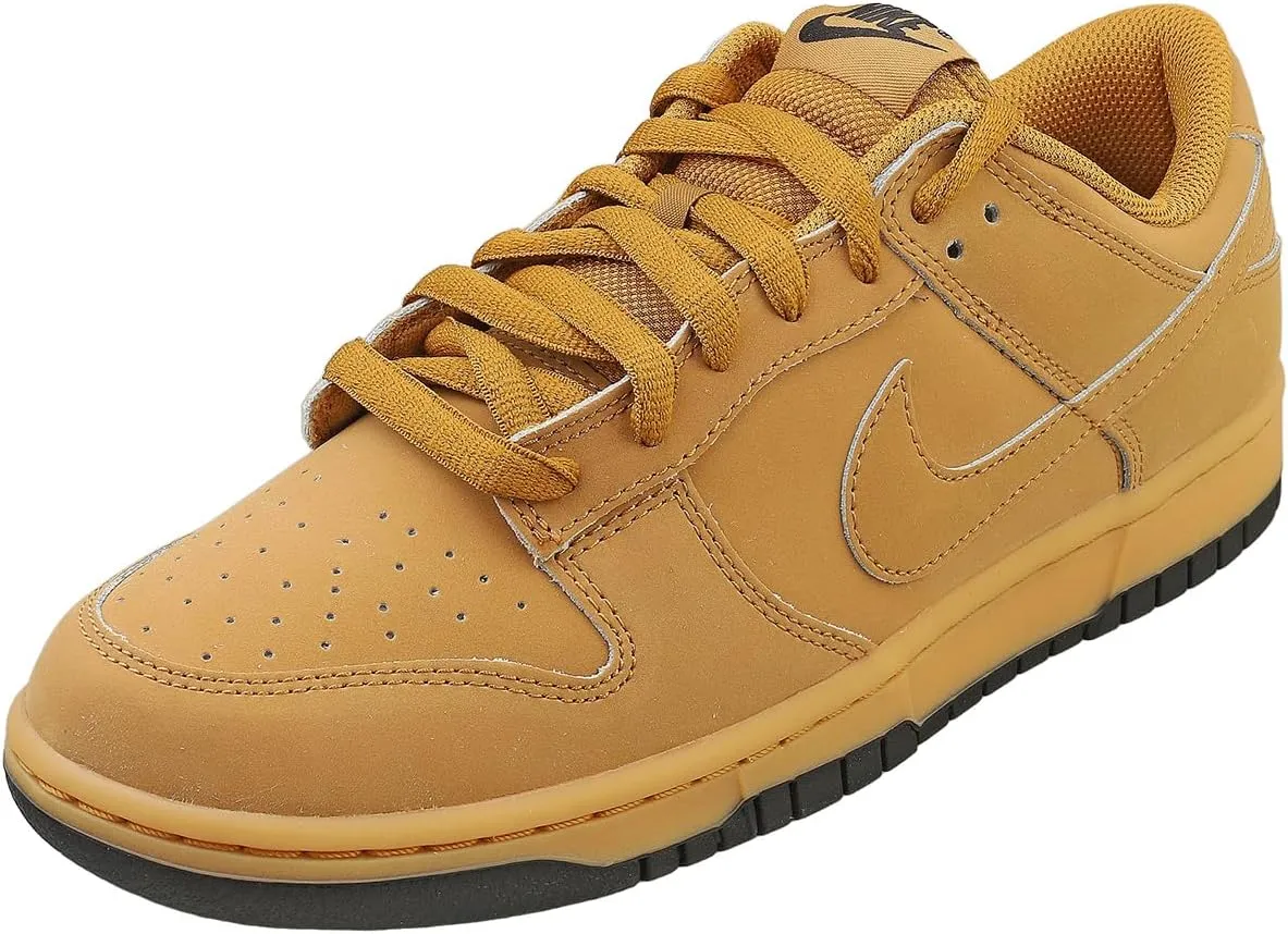 Nike Men's Dunk Low Retro Se Sneaker